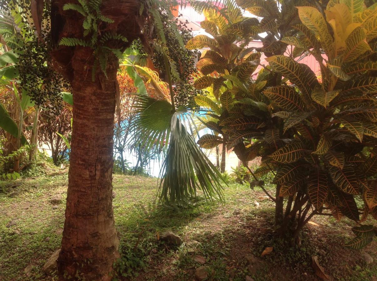 Villa Manguier Riviere-Salee المظهر الخارجي الصورة